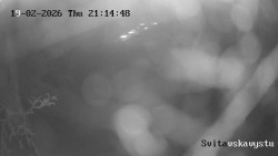 Sjezdovka Svitavská