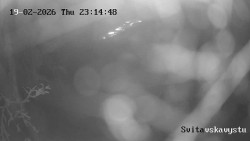 Sjezdovka Svitavská