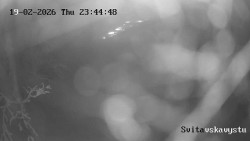 Sjezdovka Svitavská