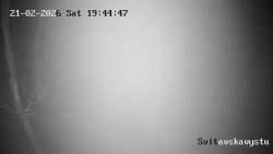 Sjezdovka Svitavská