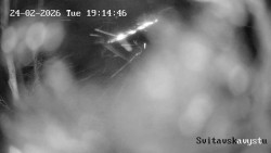 Sjezdovka Svitavská