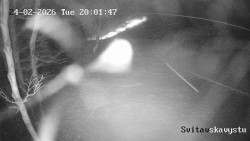 Sjezdovka Svitavská