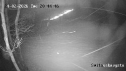 Sjezdovka Svitavská