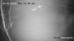 Sjezdovka Svitavská