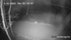 Sjezdovka Svitavská