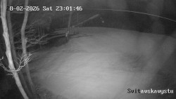 Sjezdovka Svitavská