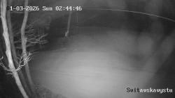 Sjezdovka Svitavská