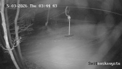 Sjezdovka Svitavská