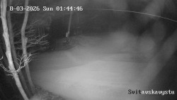 Sjezdovka Svitavská