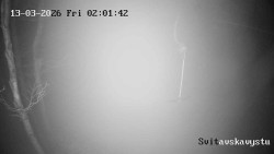 Sjezdovka Svitavská