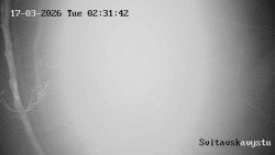 Sjezdovka Svitavská