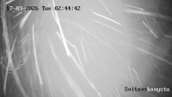 Sjezdovka Svitavská