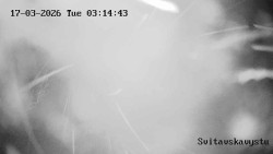 Sjezdovka Svitavská