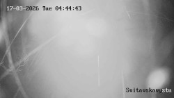 Sjezdovka Svitavská