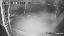 Sjezdovka Svitavská