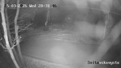 Sjezdovka Svitavská