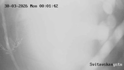 Sjezdovka Svitavská