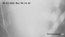 Sjezdovka Svitavská