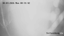 Sjezdovka Svitavská