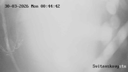 Sjezdovka Svitavská