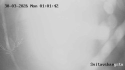 Sjezdovka Svitavská