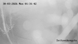 Sjezdovka Svitavská