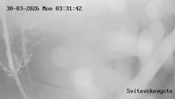 Sjezdovka Svitavská