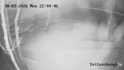 Sjezdovka Svitavská