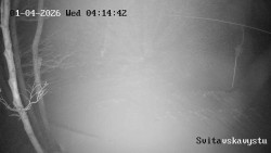 Sjezdovka Svitavská