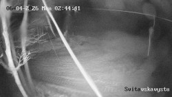 Sjezdovka Svitavská