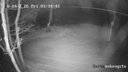 Sjezdovka Svitavská