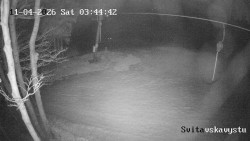 Sjezdovka Svitavská