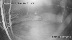 Sjezdovka Svitavská