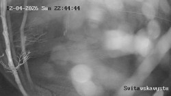 Sjezdovka Svitavská