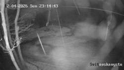 Sjezdovka Svitavská