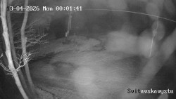 Sjezdovka Svitavská