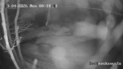 Sjezdovka Svitavská