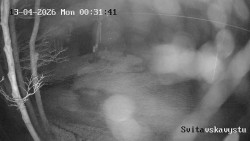 Sjezdovka Svitavská