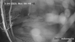 Sjezdovka Svitavská