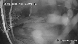 Sjezdovka Svitavská