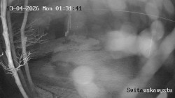 Sjezdovka Svitavská