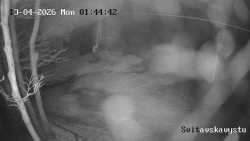 Sjezdovka Svitavská