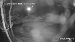 Sjezdovka Svitavská