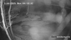 Sjezdovka Svitavská