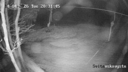 Sjezdovka Svitavská