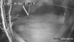 Sjezdovka Svitavská