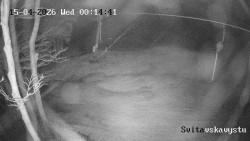 Sjezdovka Svitavská