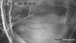 Sjezdovka Svitavská