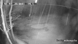 Sjezdovka Svitavská