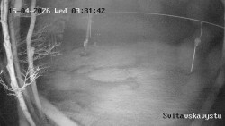 Sjezdovka Svitavská